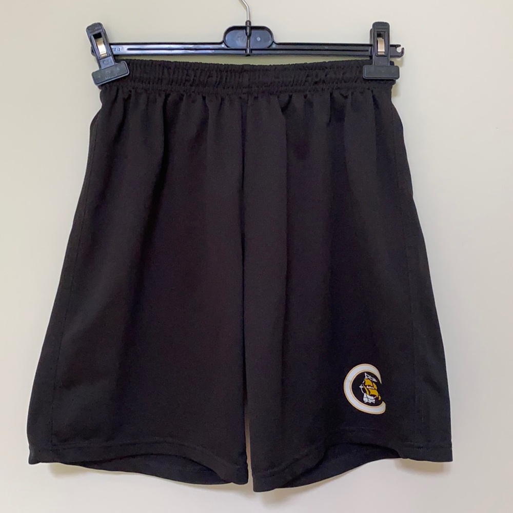 Shorts - Picture 2 of 7